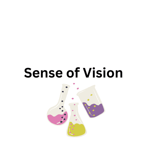 Sense of Vision